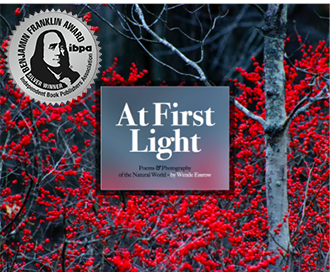 At First Light 330×272